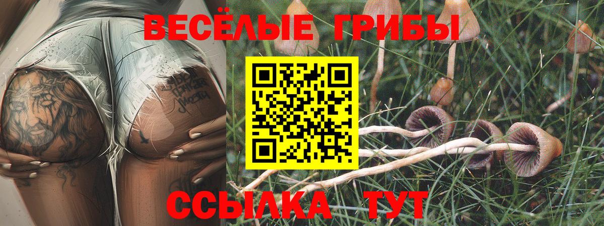 Галлюциногенные грибы мухоморы Сердобск