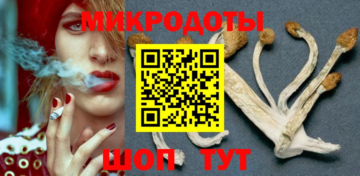 Сердобск  Псилоцибиновые грибы Psilocybe  где найти   Вход с VPN 